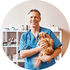 Vet holding a small dog