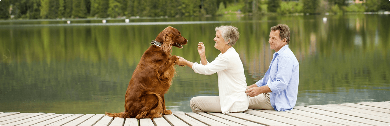 Couple with their dog on a dock