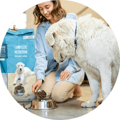 Woman feeding her dog with pet food supplies