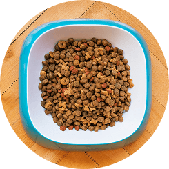 Bowl of pet food