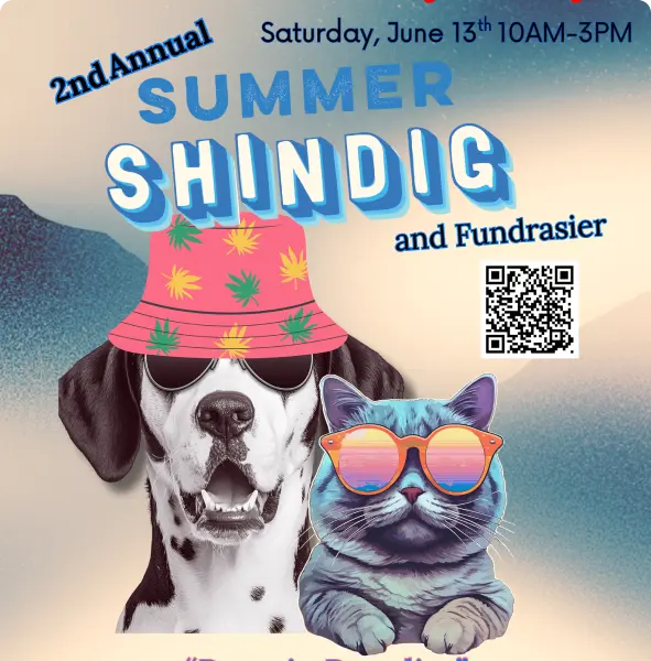 Summer Shindig & Fundraiser