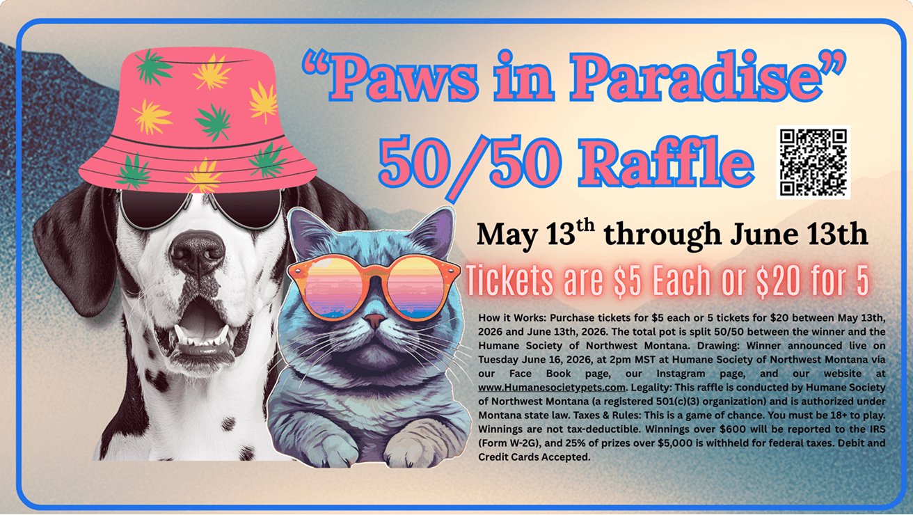 Paws in Paradise 50/50 Raffle