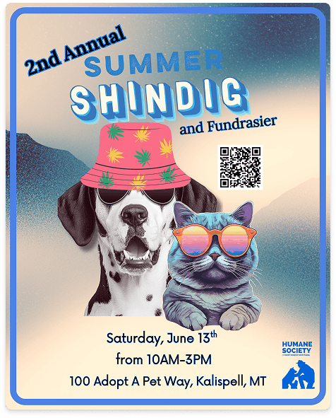2nd Annual Summer Shindig poster