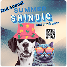 Summer Shindig and Fundraiser poster