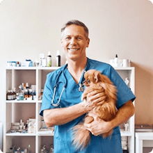 Veterinarian holding a dog