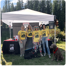 Volunteers at an event